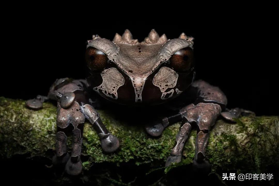 值得收藏的100张照片,100幅精品摄影作品欣赏