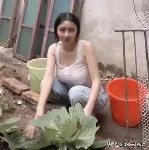 山野小斯小说完整版目录,山野小斯小说完整版