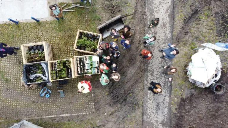 一个可以食用的绿色社区|RijnvlietEdibleNeighborhood