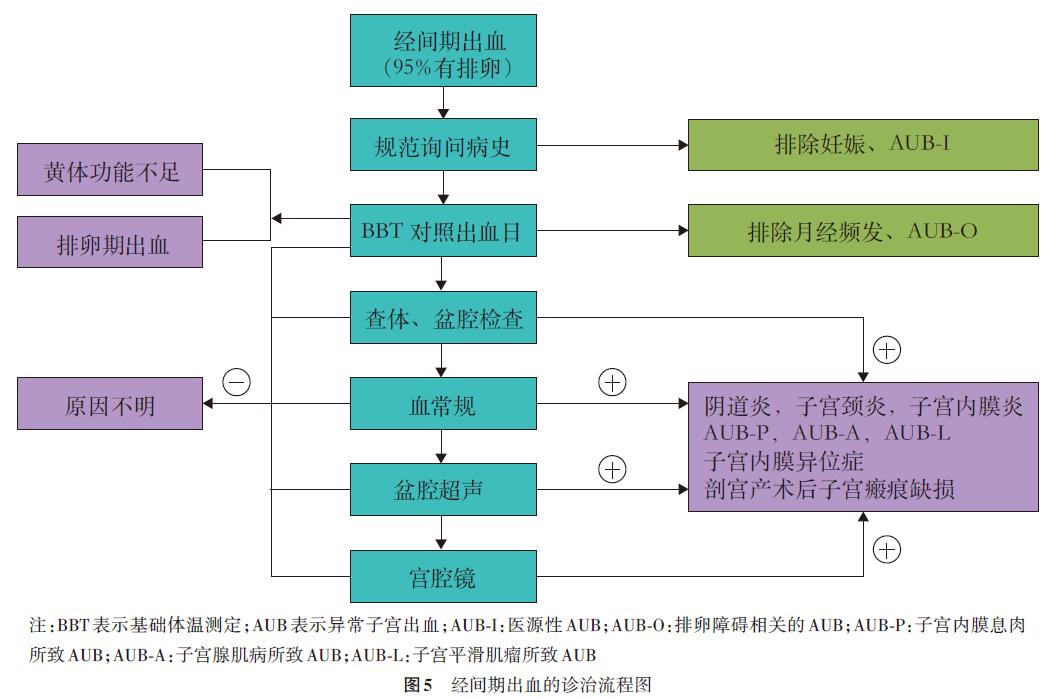 派特灵跟派特舒尔是一样的吗,派特生物是治疗什么病的
