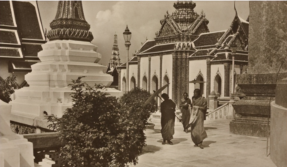 泰国红牛商机在哪里,泰国红牛招商是真的吗