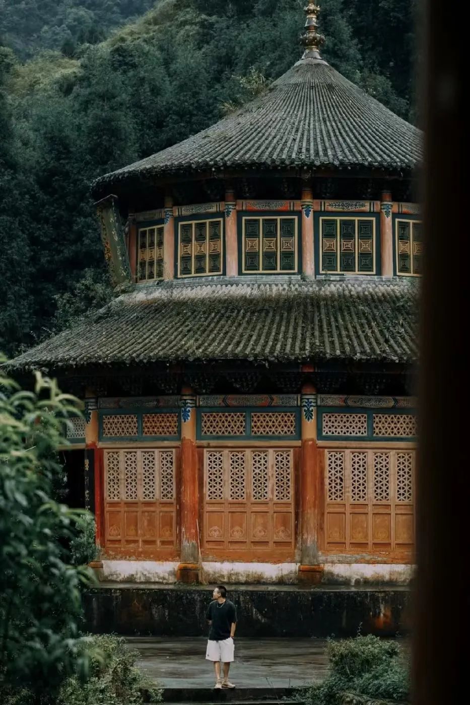 褰窞鐧介箍灏忛晣闇嶆牸娌冭尐,褰窞闇嶆牸娌冭尐