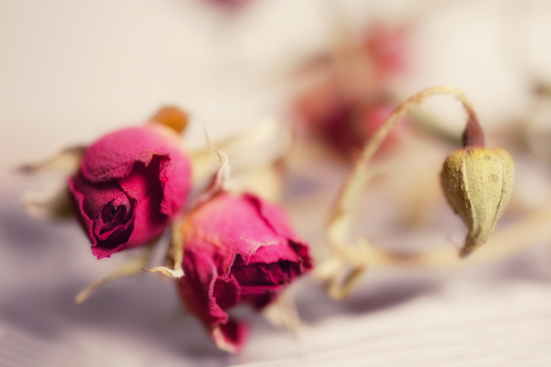 已婚女人称呼你哥哥是暗示什么,女人怎样称呼男人说明她爱你