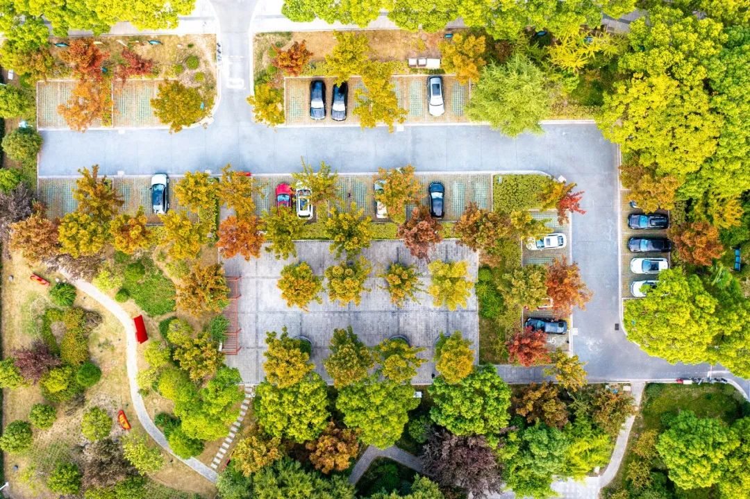 太仓周边好去处,太仓最佳去处