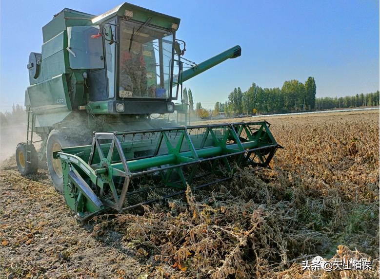 大豆全产业加工研究进展详情,大豆加工什么最有前途