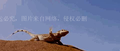 孙英雄和马云,和马云自拍