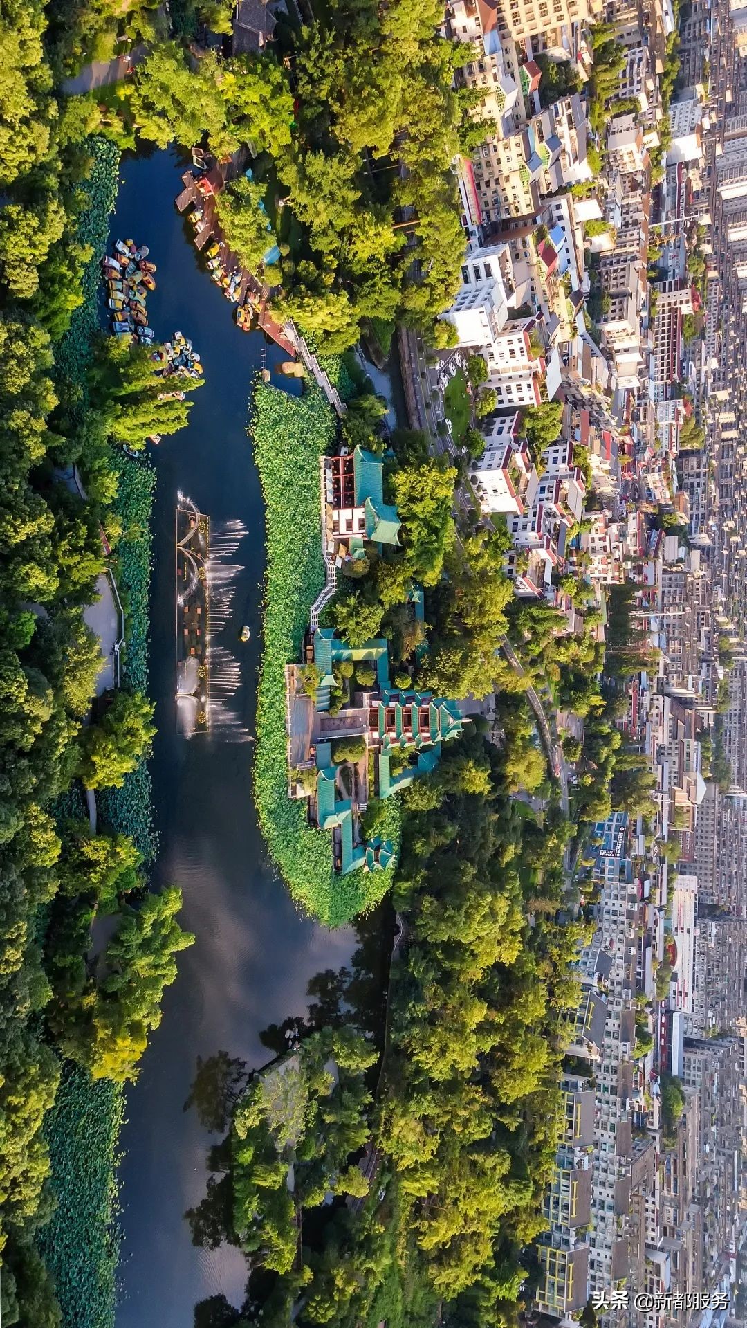 新都是镇还是区啊,什么是幸福的文案