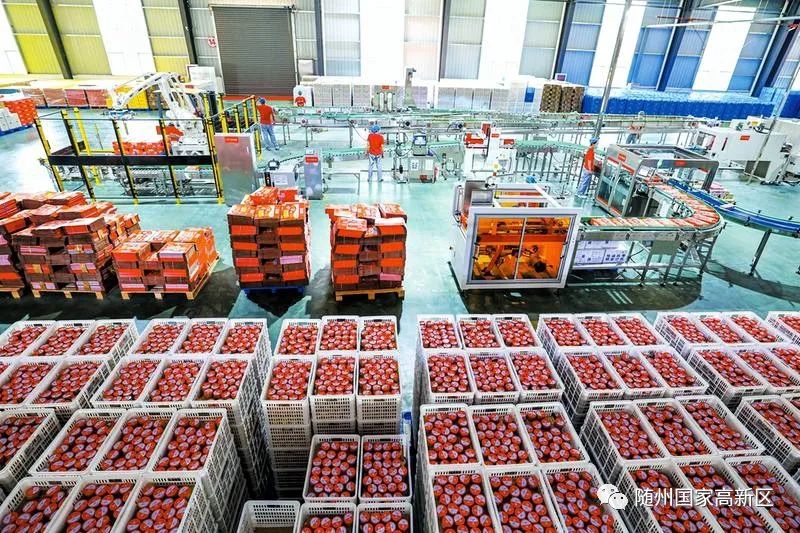 蝶变跃升五大行动,蝶变跃升