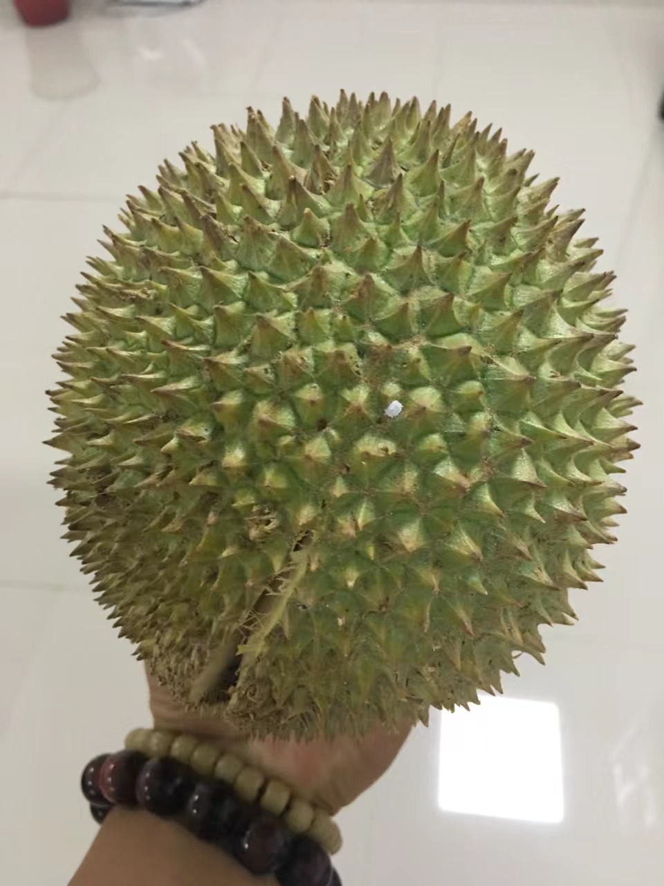 青山印尼项目,青山印尼钢铁厂