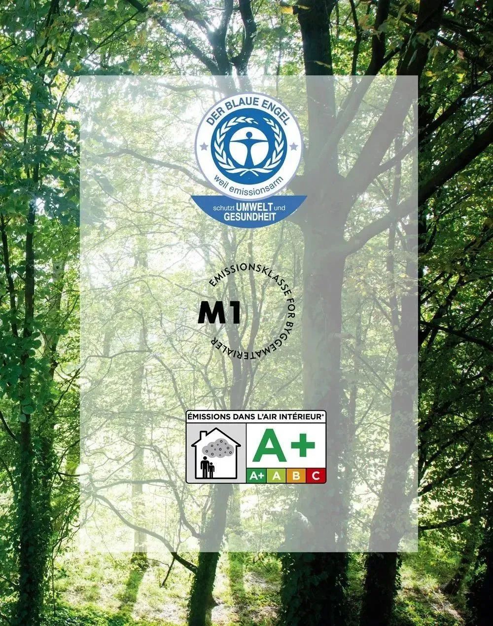 进口木地板怎么鉴别,十大进口地板品牌中有金钢铂林吗