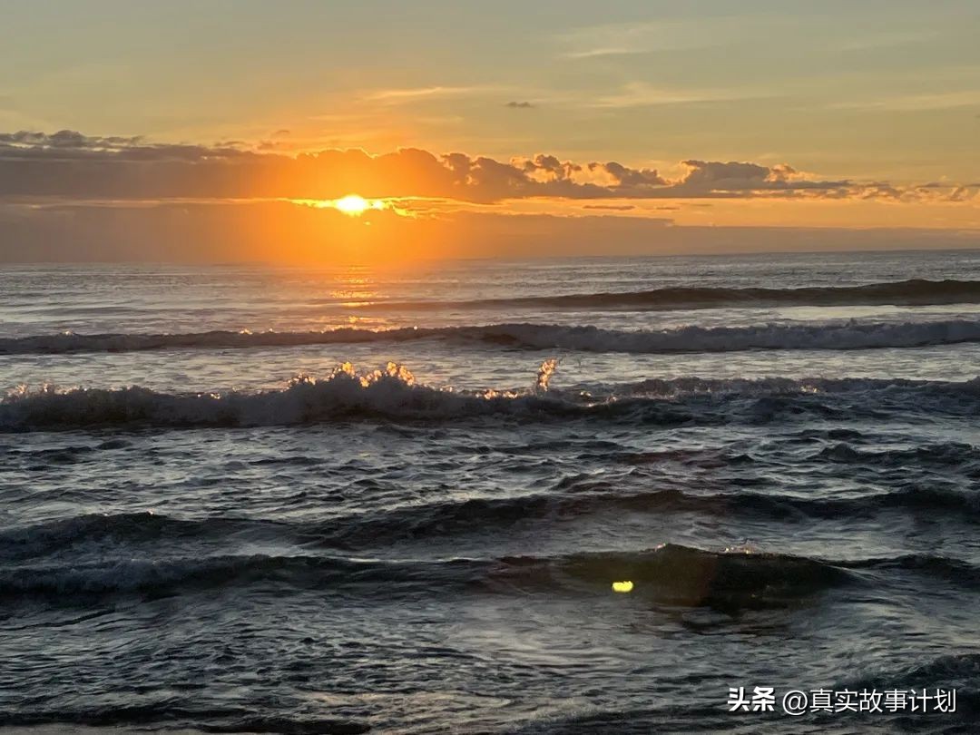 养龟人在江湖,养码人