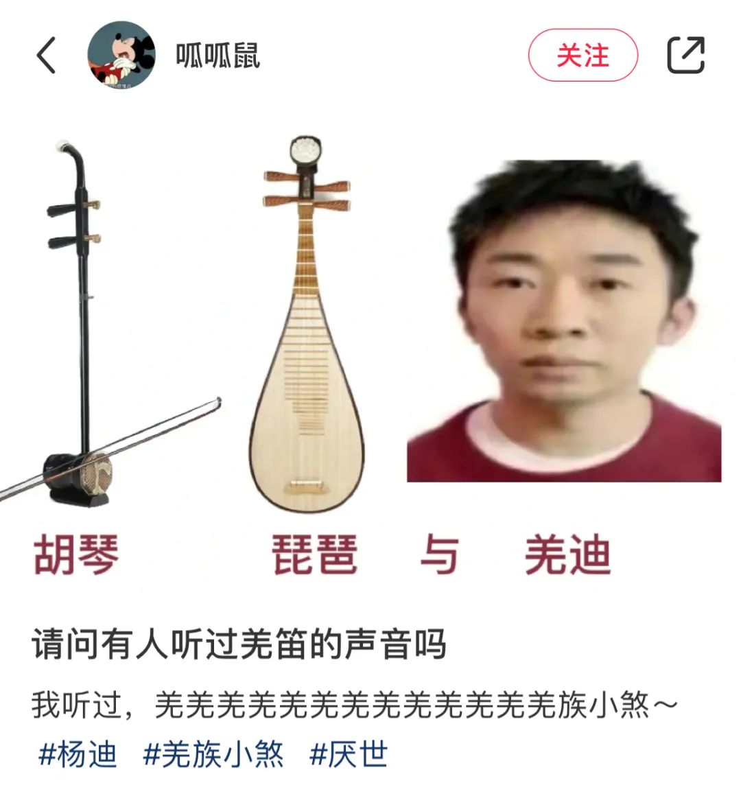 杨迪是真的表情包,杨迪表情包汇总