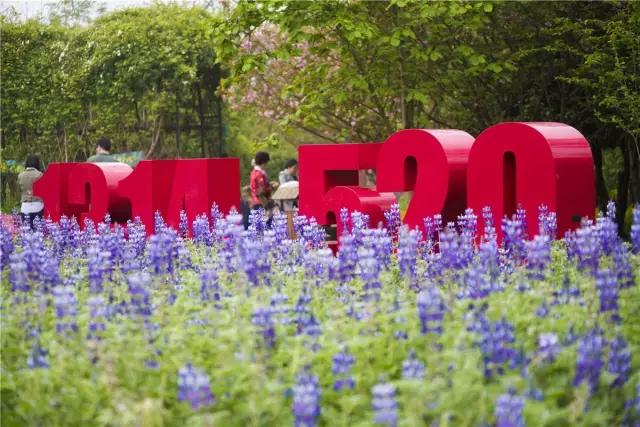 园林景观设计的五大环节,干货园林植物景观设计之空间设计