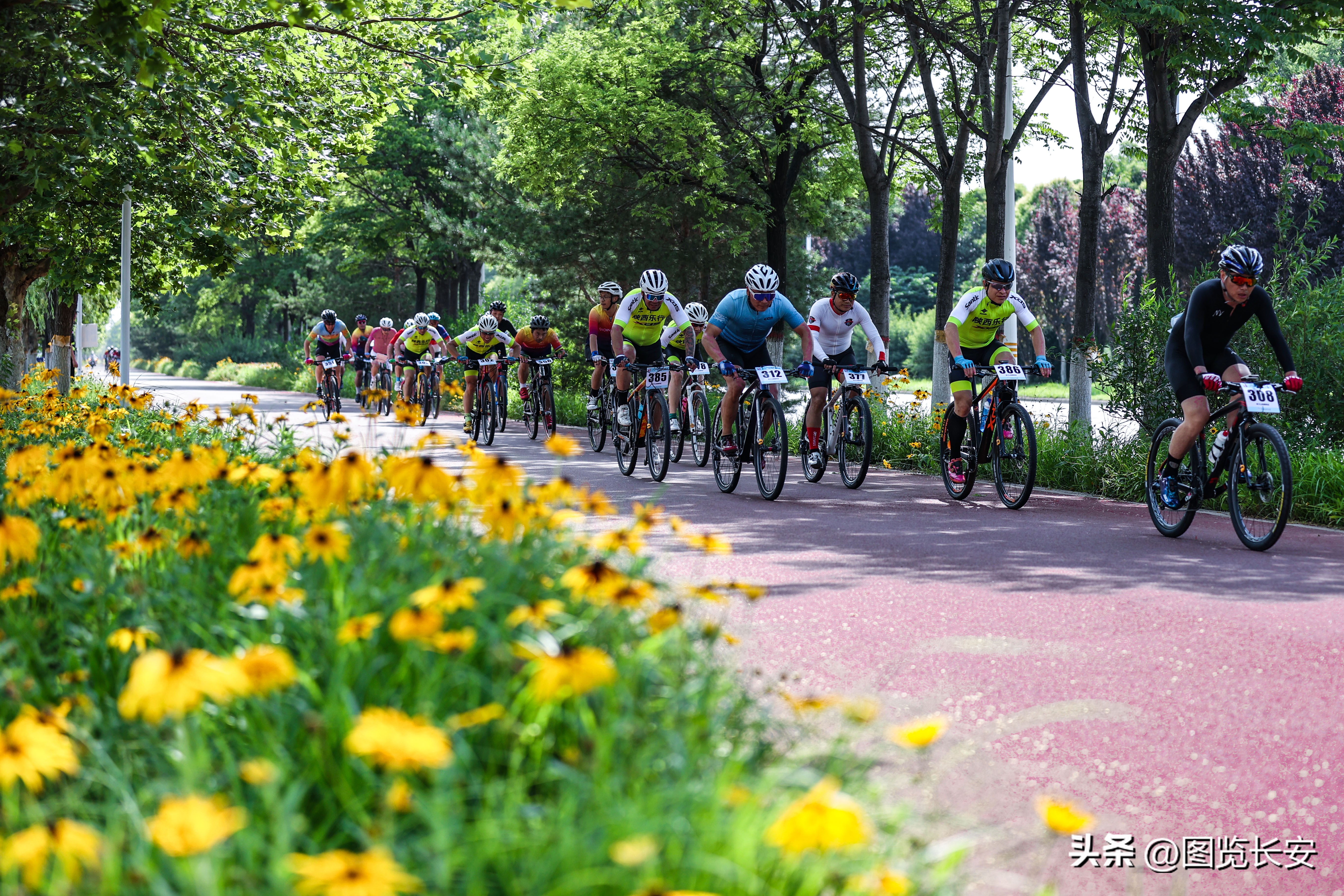 绿色骑行赛,绿色骑行共迎亚运