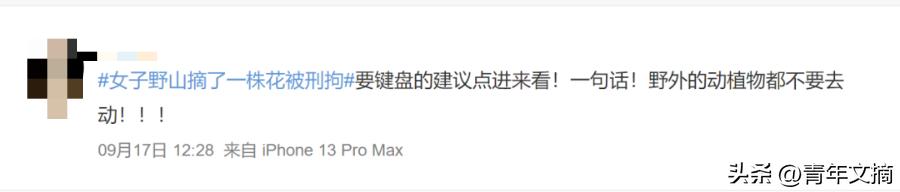 南京摘花被判刑,到底有多少人因为摘花被判刑了