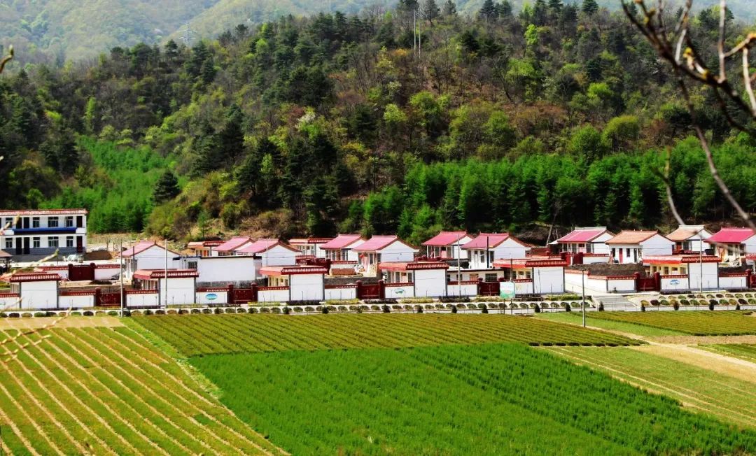 春夏农业生产,一季度各地全力抓好春季农业生产