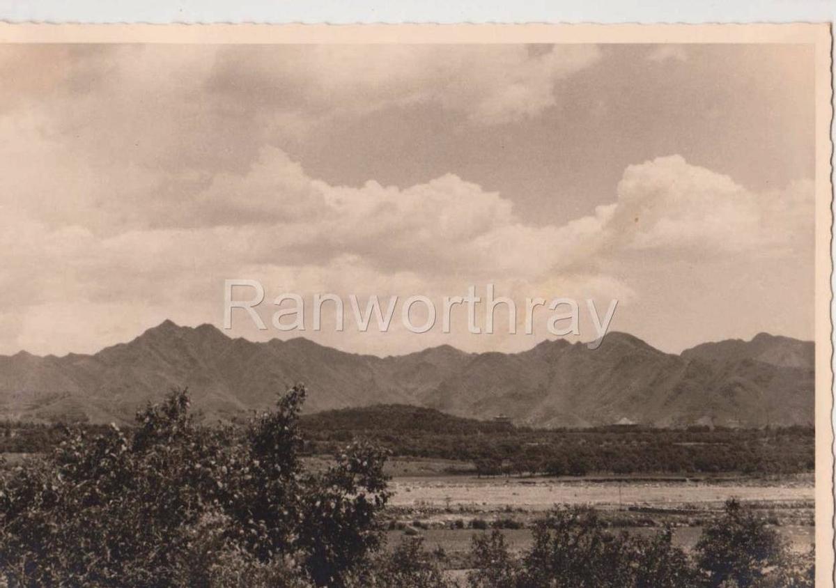 【晚清*楼青**旧影观】媚态百出，丰乳肥臀，尽显女子风情！