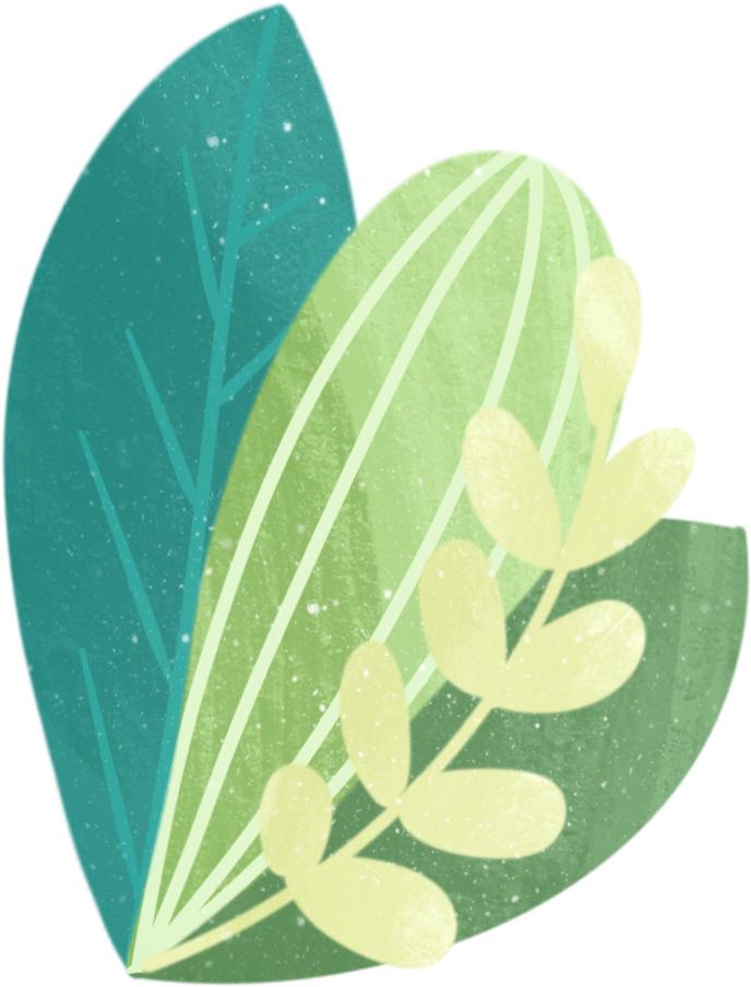 新加坡垃圾需要分类吗,新加坡没有垃圾袋怎么办