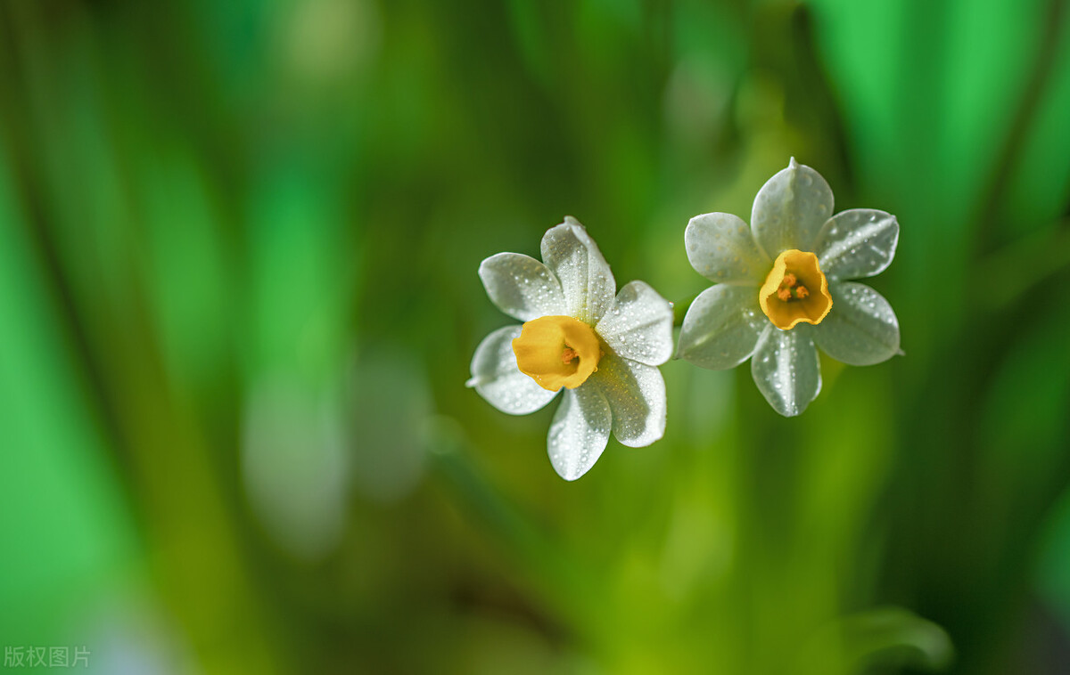 一生花里蝶翩翩，愿得群芳在眼前，8首古诗，细味古人的生活意趣
