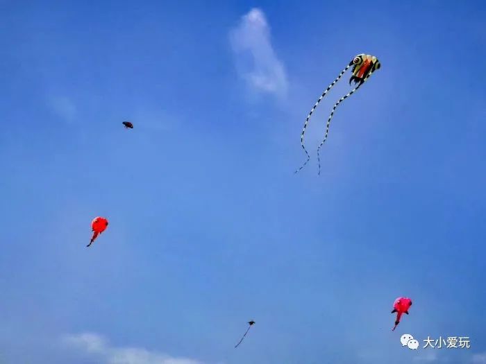 北京花海休闲公园,帝都游乐场