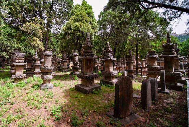 切莫迁坟十迁九败爷爷道出真相,俗语切莫迁坟十迁九败