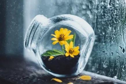 母女离心怎么办,母女分离伤心欲绝