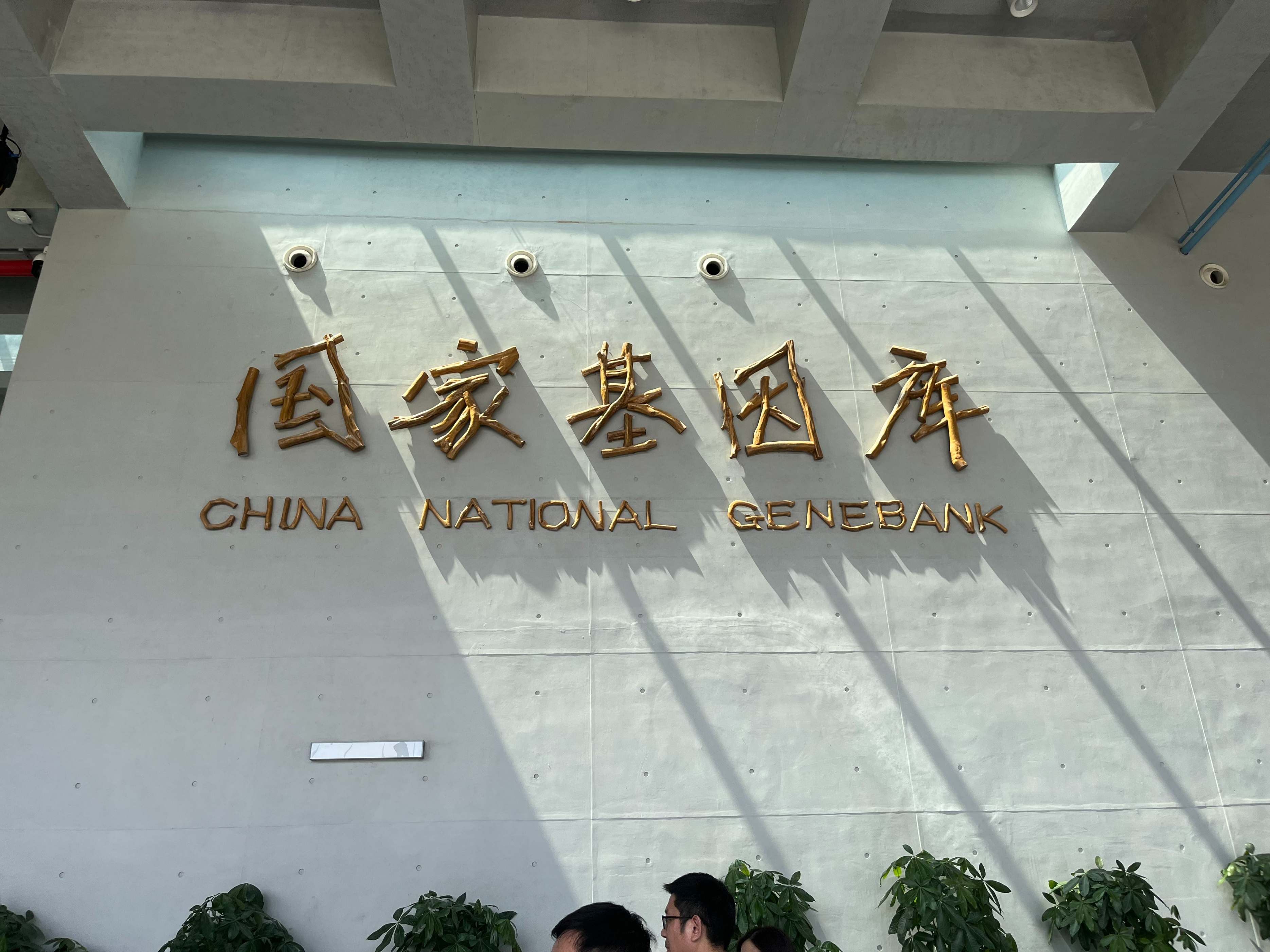 从木星商战“硝烟”到腾讯创新“实战”——这堂课还在“吵”