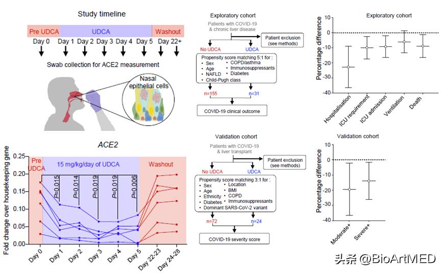 靶向FXR信号的SARS-CoV-2预防新策略​