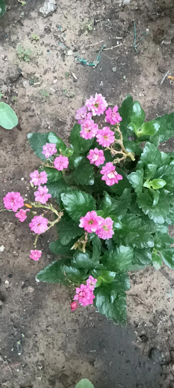 有声书工作室靠什么赚钱,有声书怎样赚钱