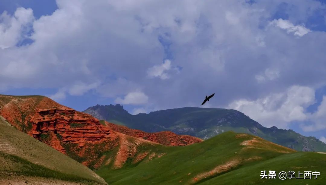 7月20号，神秘区域将举办神秘活动…