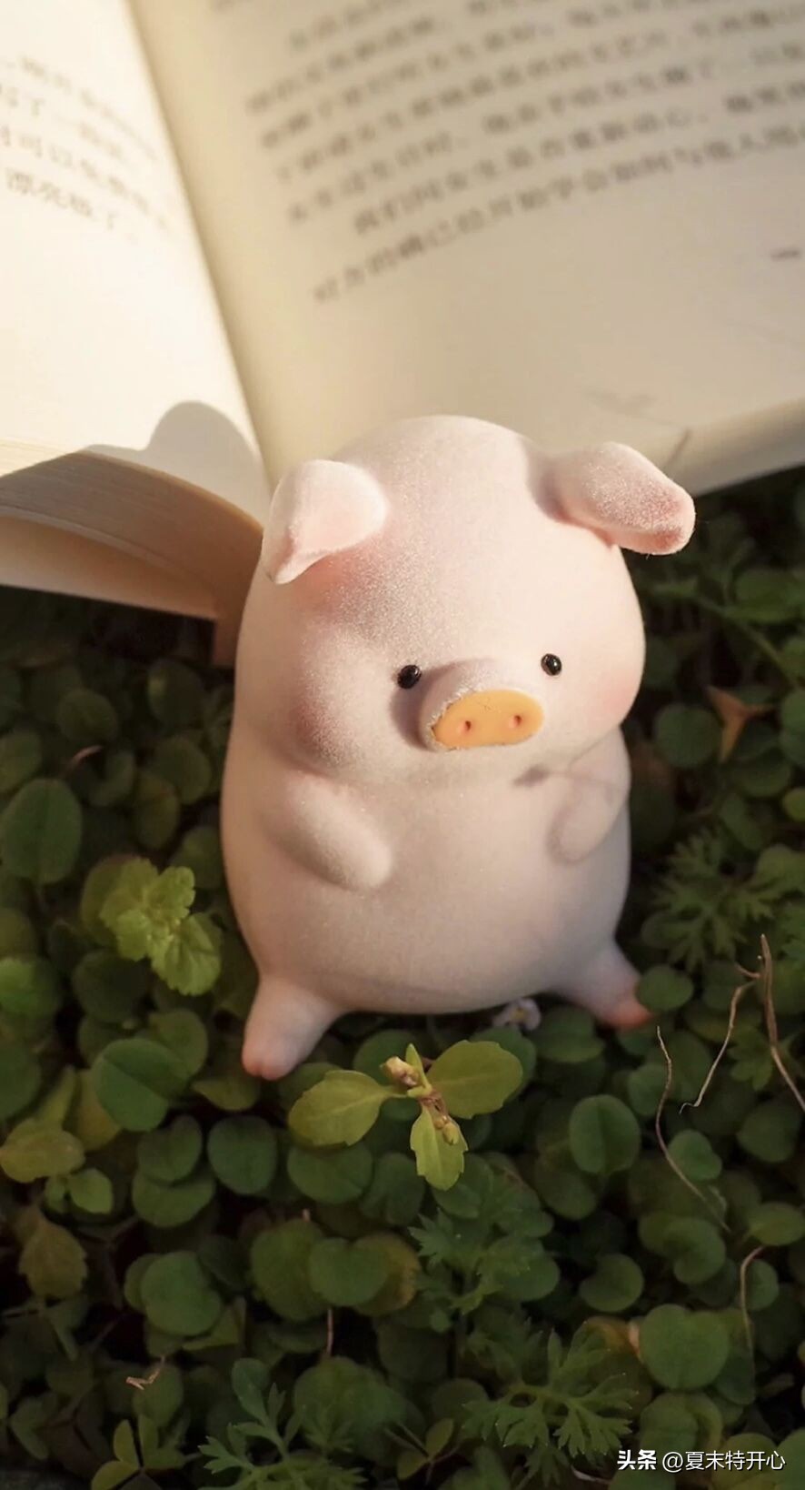 经典搞笑幽默小笑话大全,逗女朋友笑话搞笑