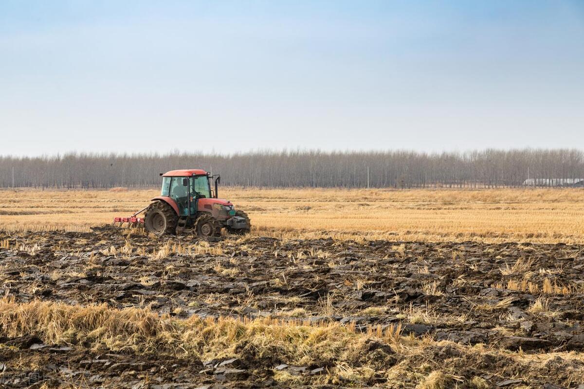 农村将迎大变化,农民在农村未来5年如何发展