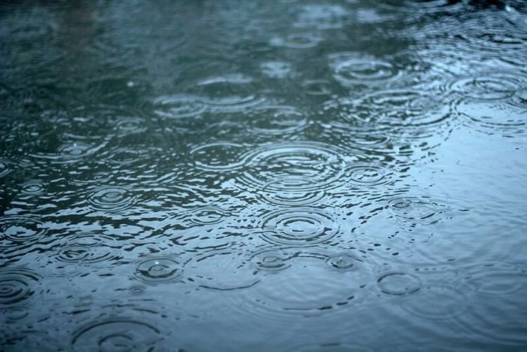 我，竟无比的喜欢雨