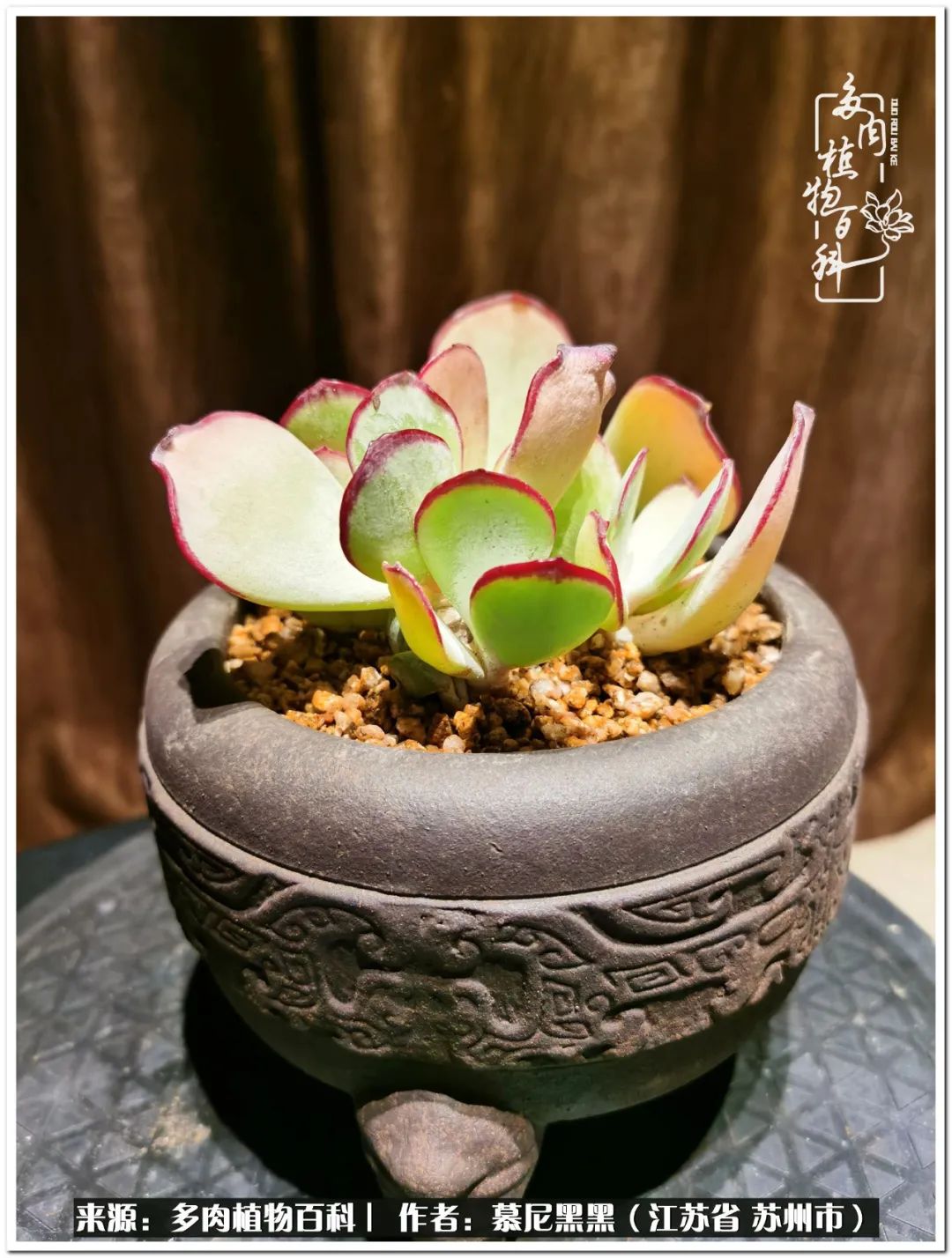 生活需要三分甜,生活需要一半禅意一半烟火