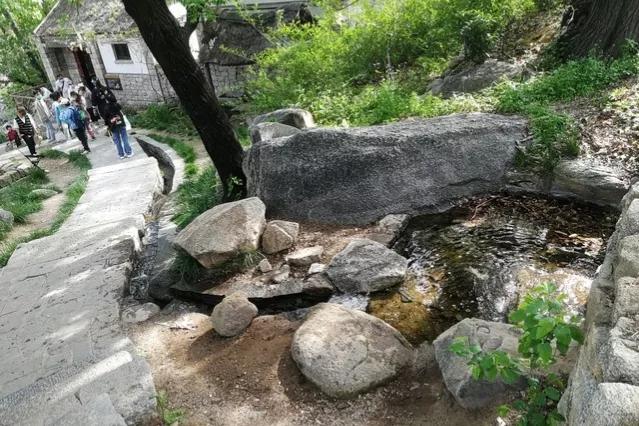 我们4年旅行花60万，没敢让儿子家知道，无意中说漏嘴被拒之门外