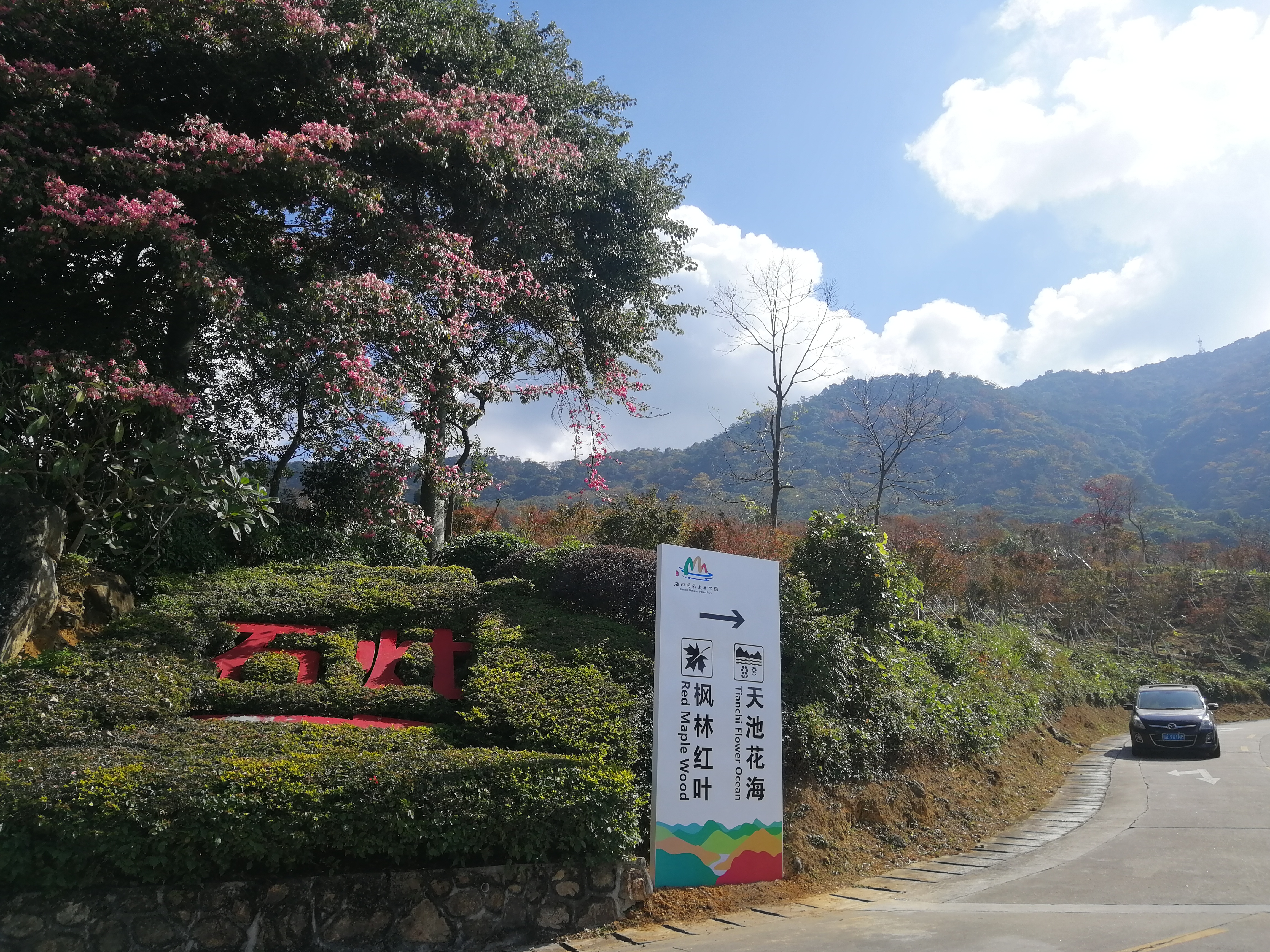 石门森林公园樱花谷交通线路,从化石门公园枫叶