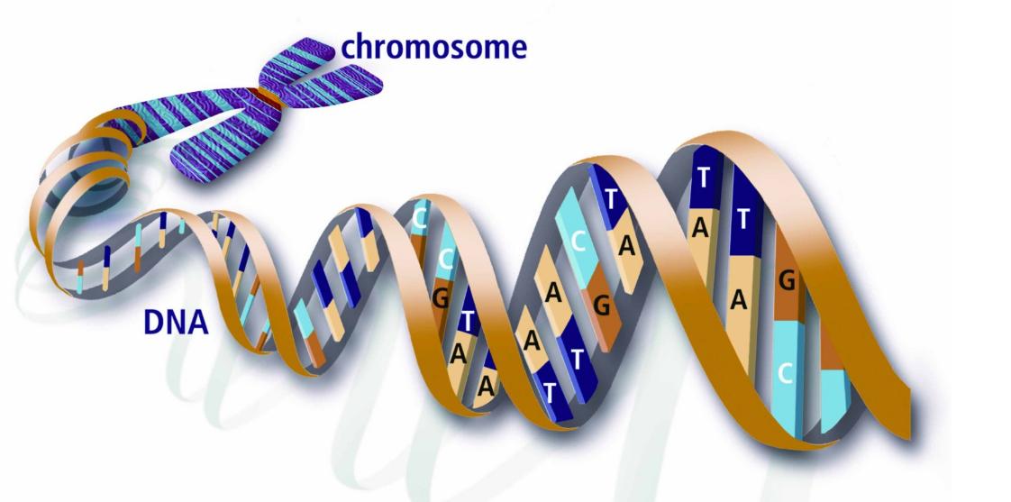 女生体检一般检查哪些必检的项目,女性体检的必检项目一般多少钱
