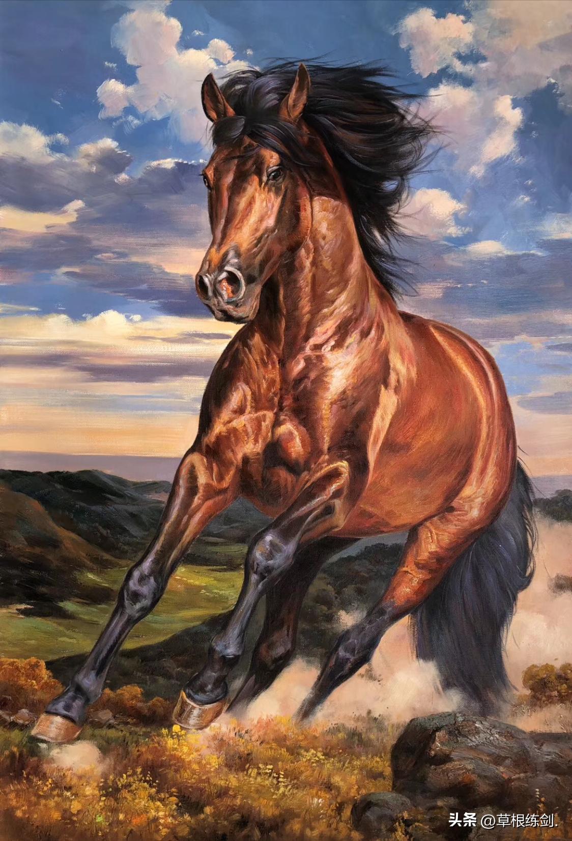 网易新浪头条及部分网络平台对纪实自传体回忆录《草根春秋》评论