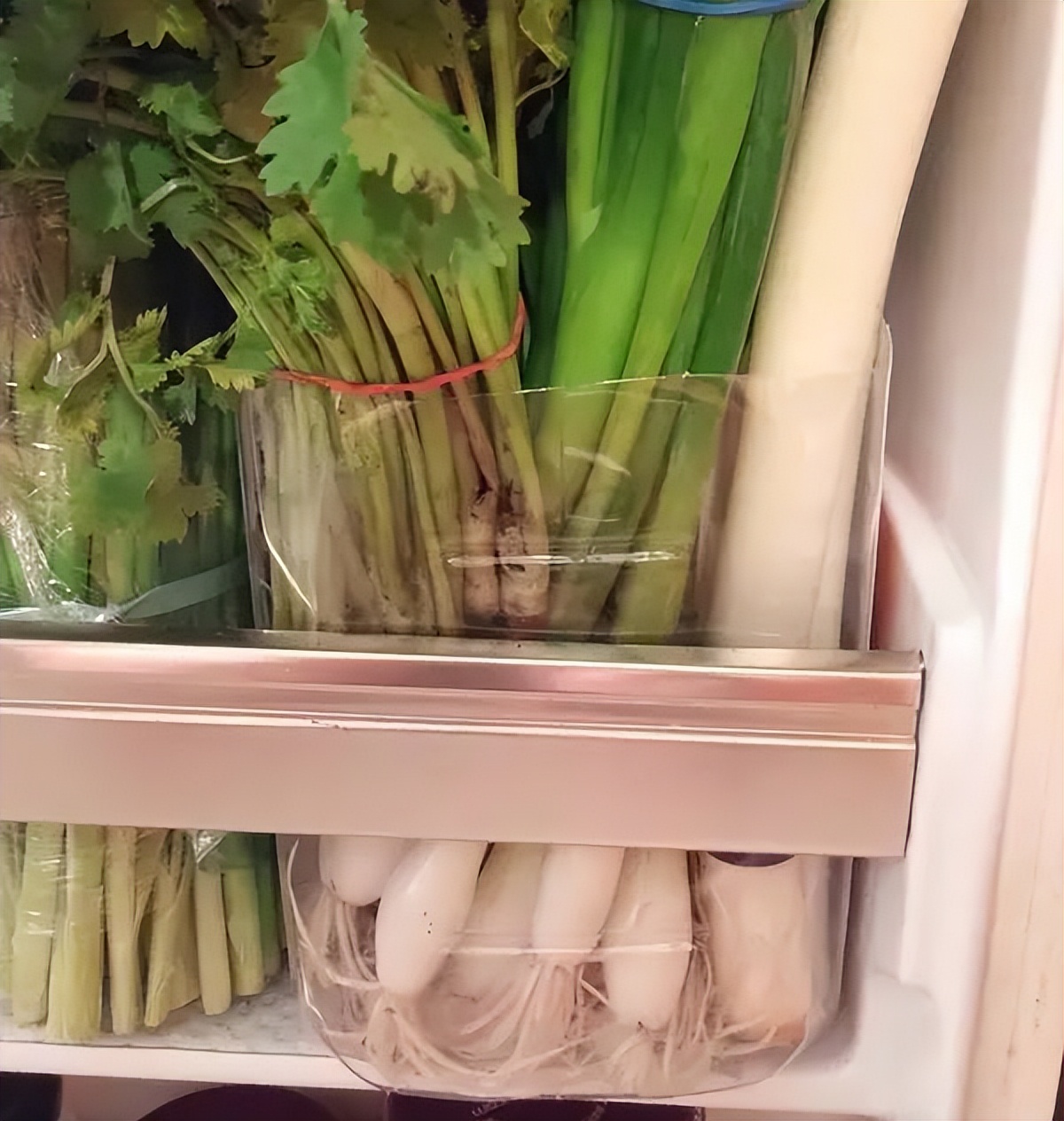 冰箱冷冻区收纳整理技巧,冰箱怎么整理才能放更多东西