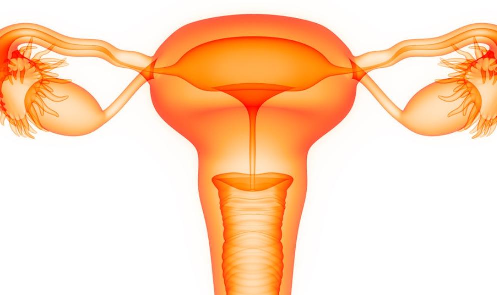 怀孕后还有月经是怎么回事,月经和怀孕会同时来吗