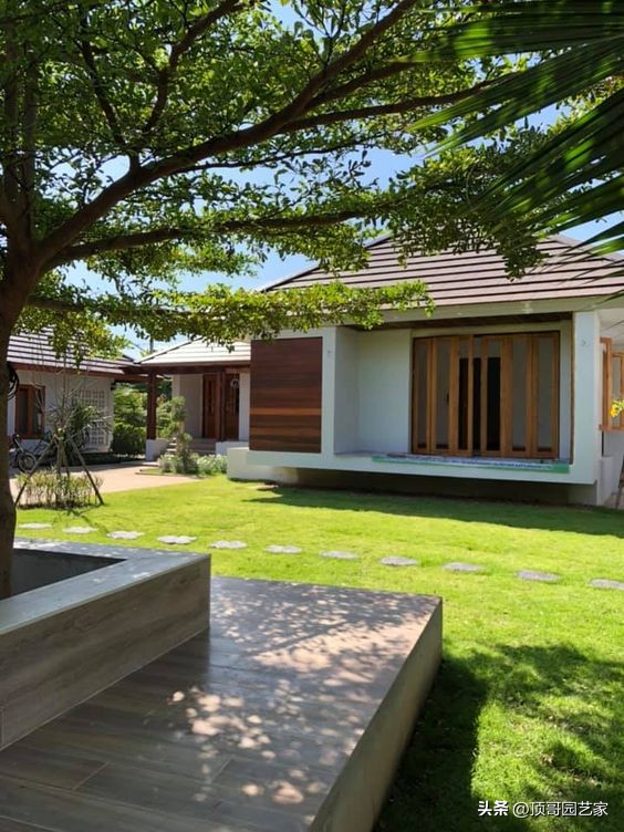 花园草坪用什么草种好,草坪怎么铺效果最好