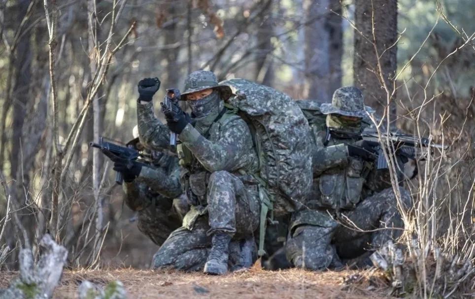 朝鲜韩国刺杀行动,朝鲜韩国刺杀行动纪录片