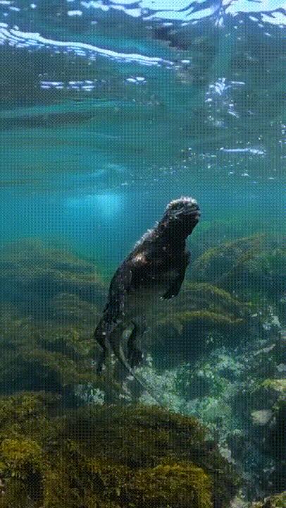 海底奇观欣赏,海底世界奇妙之旅图片