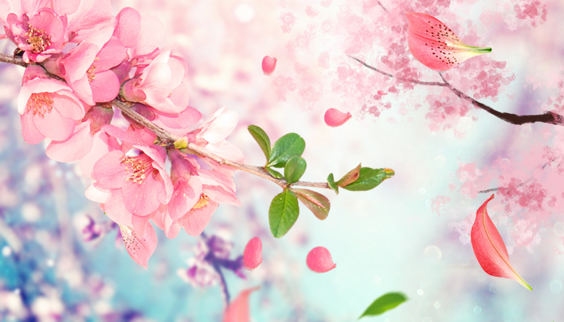 你的脸上写着大富大贵,你的脸上都写着优秀