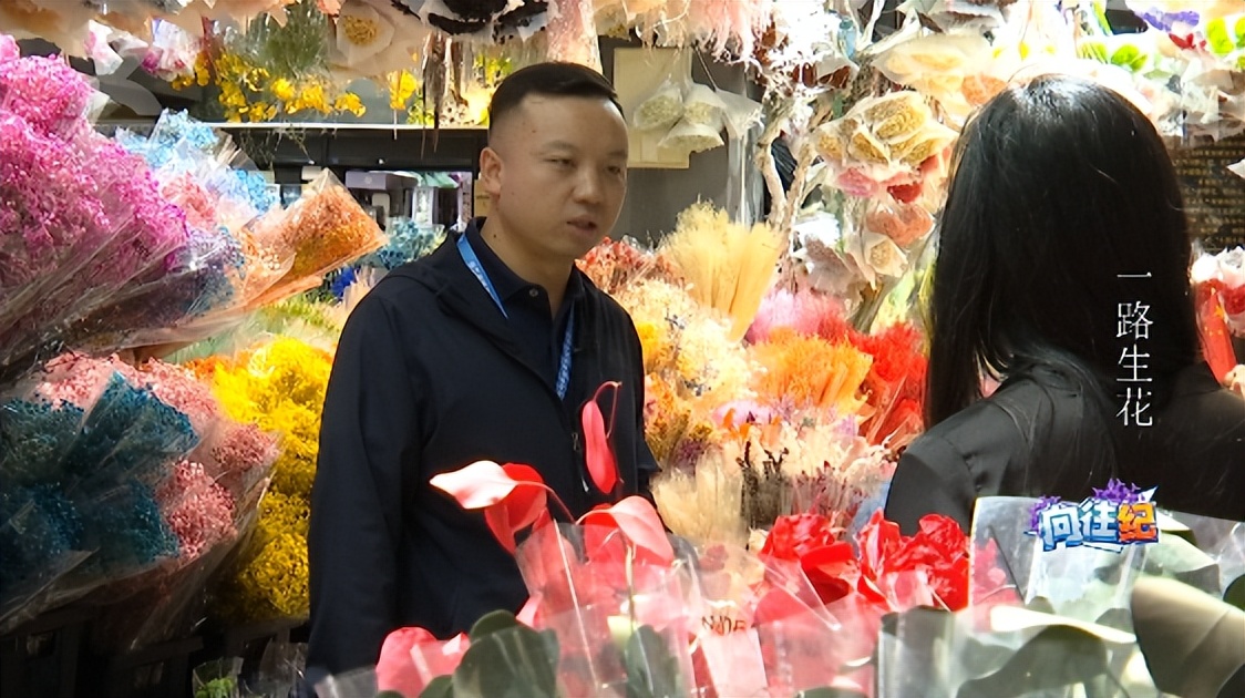 盘点人们都向往的工作,向往的工作和现实的工作