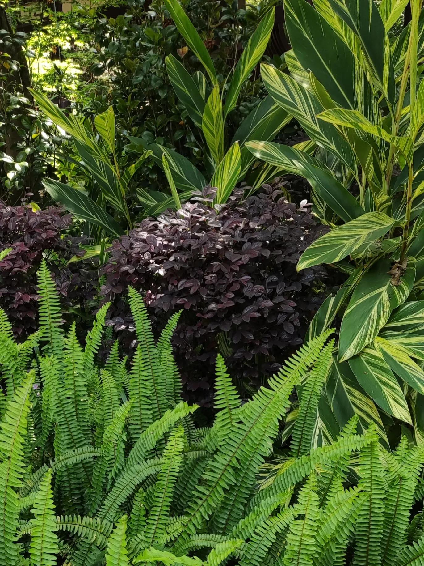 灏忛┈杩囨渤鐨勬晠浜嬪ぇ鍏ㄩ泦,灏忛┈杩囨渤鐨勬晠浜嬫湁鍚杩囧悧