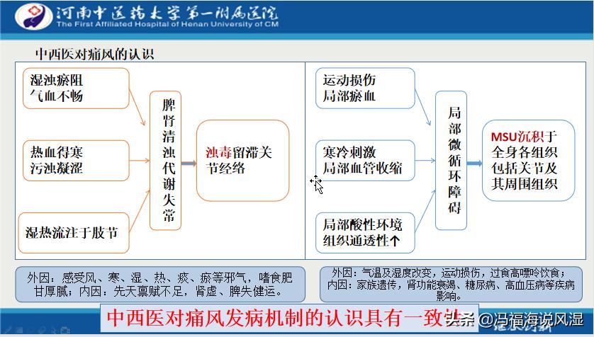 治疗痛风有三条路：给炎症绝路，给尿酸出路，给肾脏活路