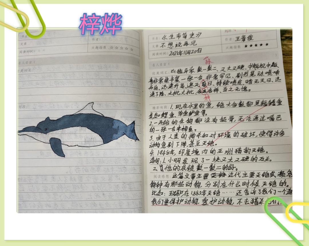 小学优秀作文我的爸爸视频,以爸爸我想对您说为主题的作文