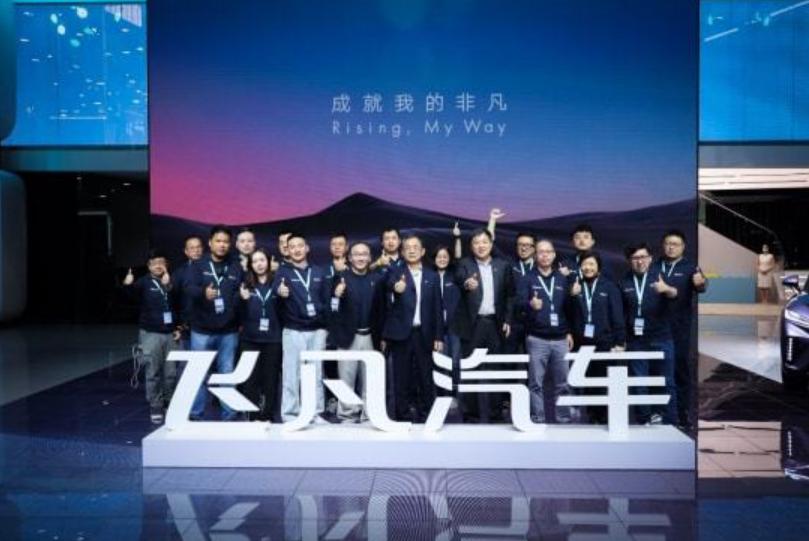 飞凡汽车er6带绿牌,飞凡汽车er6对比测试