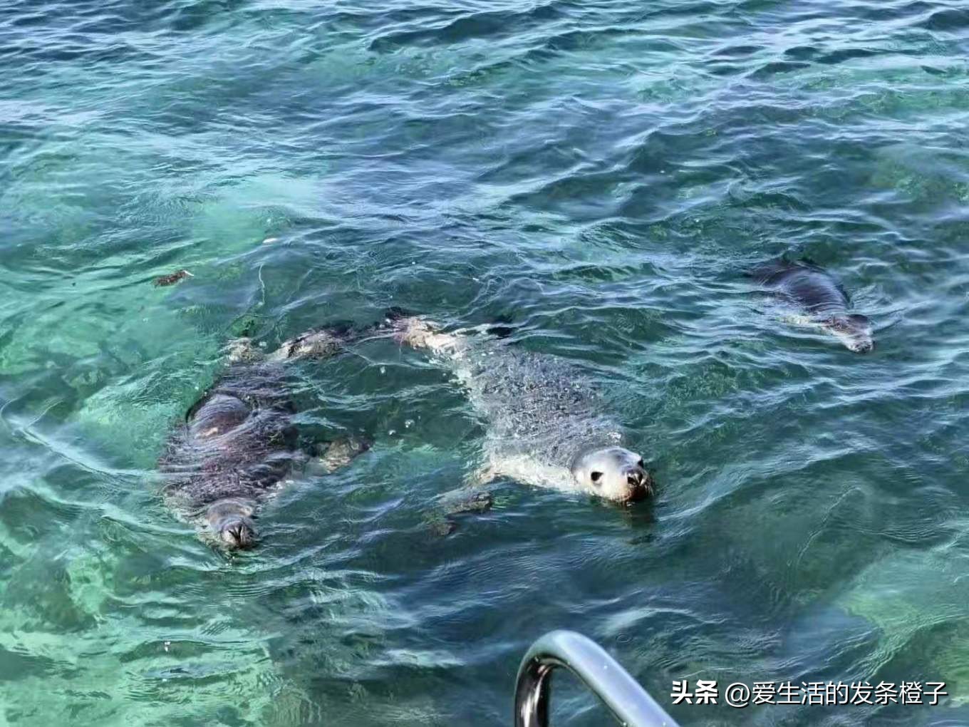 一路向北全程1980公里,西澳自驾游最佳路线图